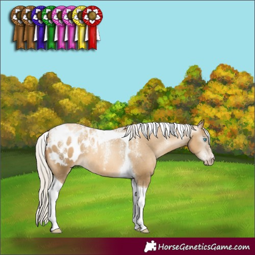 Horse Color:Powder White Gray Silver Sable Cream Champagne Pearl Tobiano Blanket