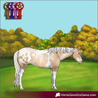 Horse Color:Powder White Gray Silver Sable Cream Champagne Pearl Tobiano Appaloosa