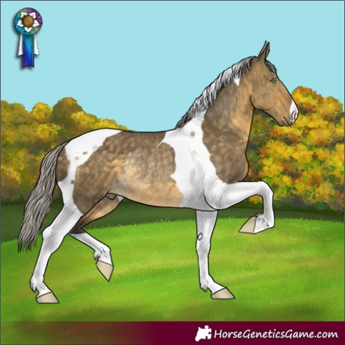 Horse Color:Silver Buckskin Dun Tobiano Rabicano 