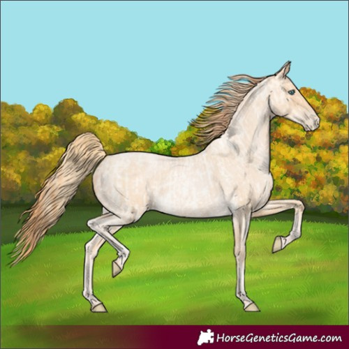 Horse Color:Buckskin Roan Pearl  and Buckskin Roan Pearl 