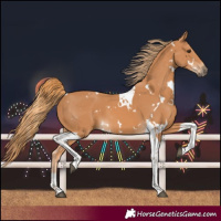 Horse Color:White Spotted Chestnut Tobiano 