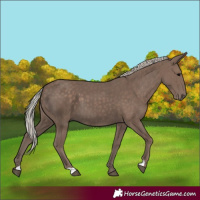 Horse Color:Silver Black 