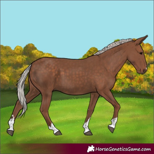 Horse Color:Silver Black