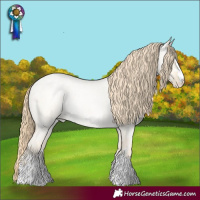 Horse Color:Buckskin Roan Pearl Dun and Buckskin Roan Pearl Dun