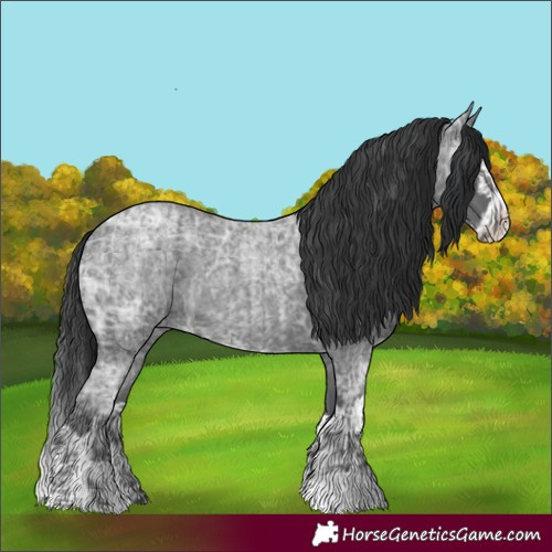 Horse Color:Blue Ice Roan and Blue Ice Roan Splash