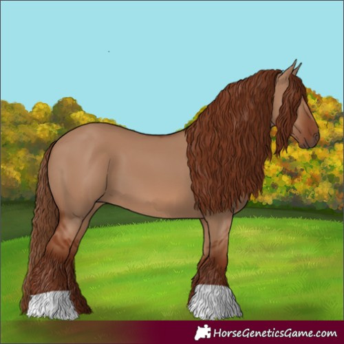 Horse Color:Red Dun 