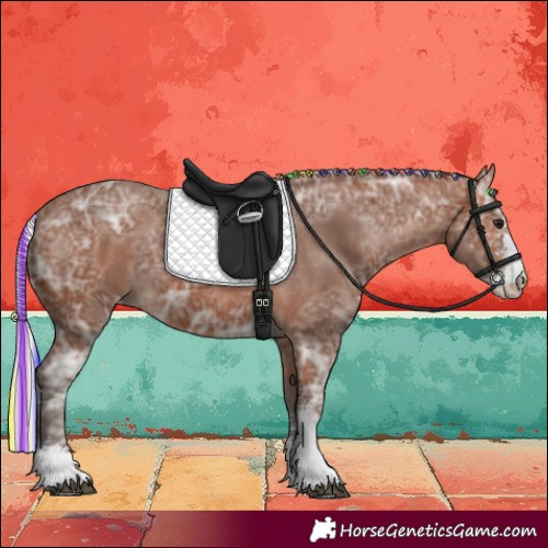 Horse Color:Painted Silver Brown Ice Sabino Appaloosa