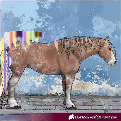 Horse Color:Painted Silver Brown Ice Sabino Appaloosa 
