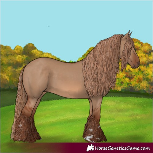 Horse Color:Red Dun