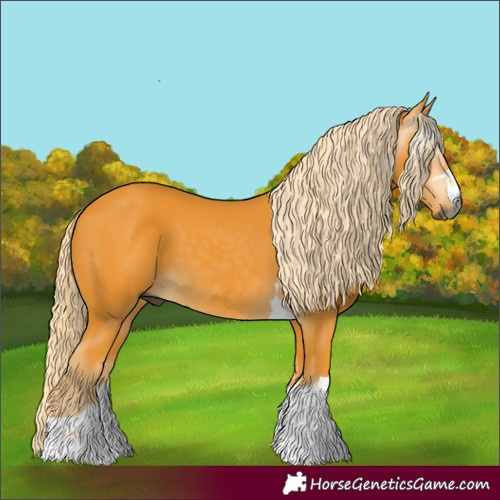 Horse Color:Gray Palomino