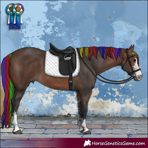 Horse Color:Painted Brown Sabino 