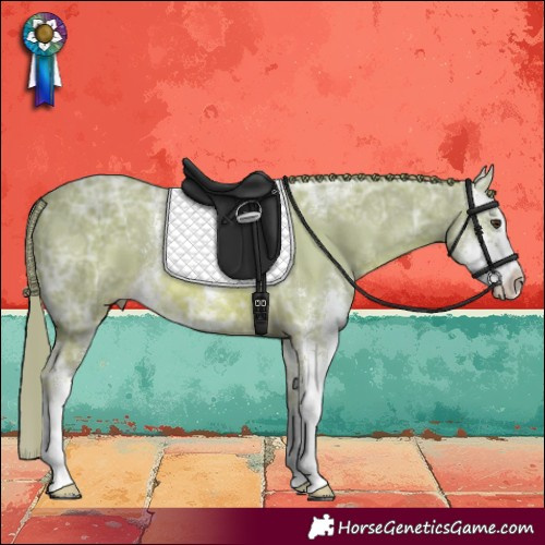 Horse Color:Watercolor Chestnut Ice Sabino 