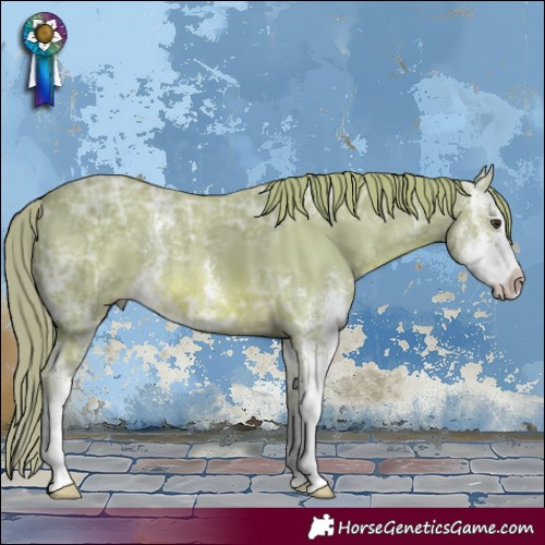 Horse Color:Watercolor Chestnut Ice Sabino 