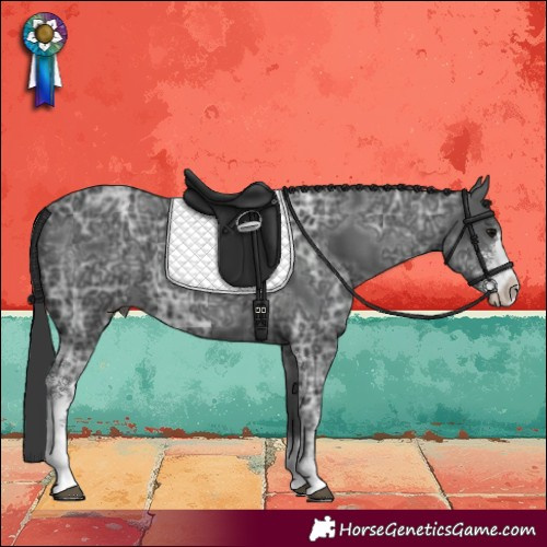 Horse Color:Black Ice Sabino 