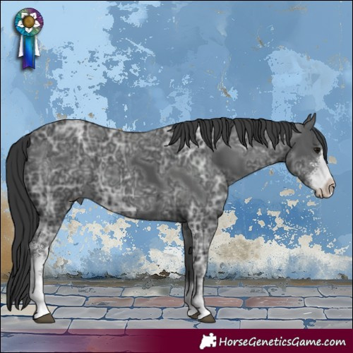 Horse Color:Black Ice Sabino 