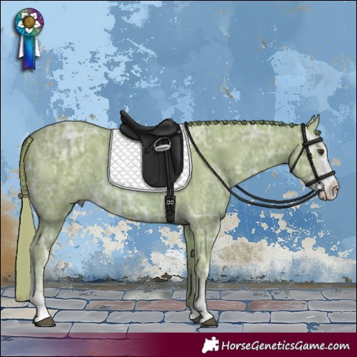 Horse Color:Watercolor Chestnut Ice Sabino 