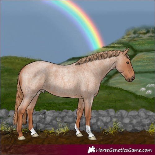 Horse Color:Red Roan