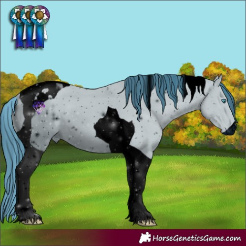 Horse Color:ERROR: UNKNOWN ANOMALY