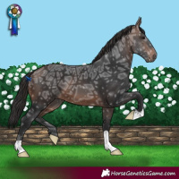 Horse Color:Brown Ice 