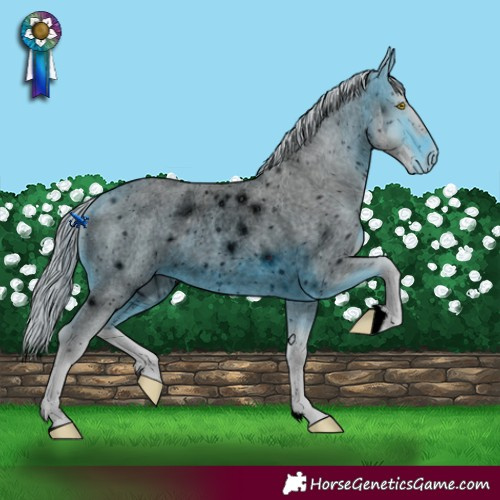 Horse Color:ERROR: UNKNOWN ANOMALY