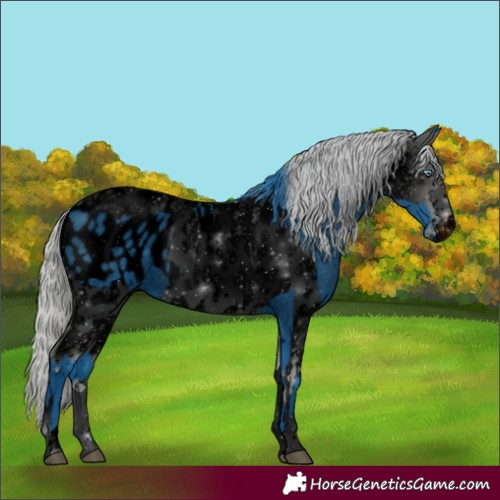 Horse Color:ERROR: UNKNOWN ANOMALY and ERROR: UNKNOWN ANOMALY