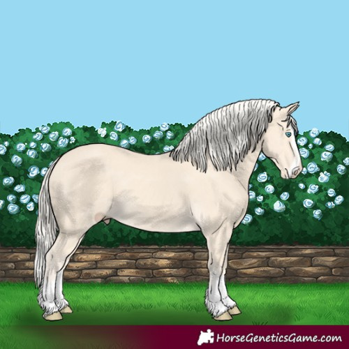 Horse Color:Cremello Splash  and Cremello Splash 