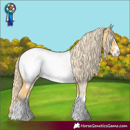 Horse Color:Palomino Dun Splash Appaloosa Rabicano