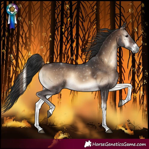 Horse Color:Brown Onyx Tobiano Rabicano