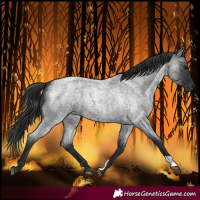Horse Color:Blue Roan