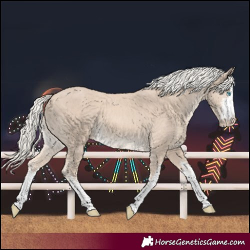 Horse Color:White Spotted Cremello