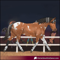 Horse Color:White Spotted Bay Tobiano