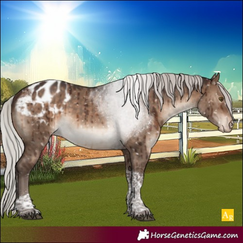 Horse Color:Silver Brown Dun Tobiano Appaloosa Rabicano Brindle 