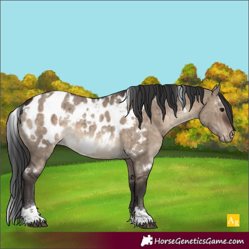 Horse Color:White Spotted Brown Dun Tobiano Blanket Rabicano Brindle