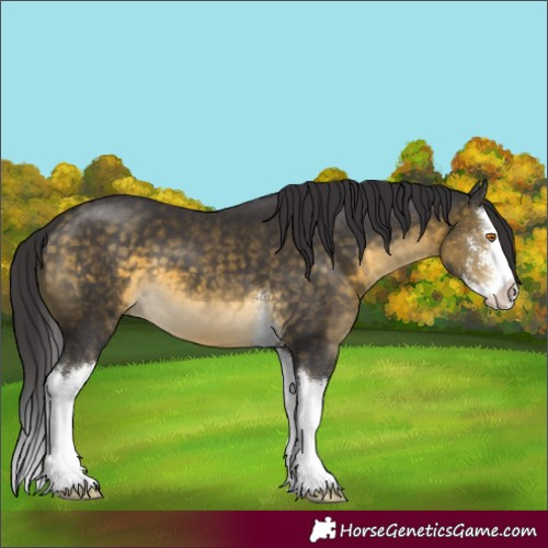 Horse Color:Buckskin Mushroom Sabino Splash