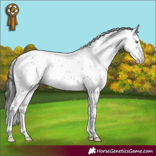 Horse Color:Brown Mushroom Sabino Appaloosa