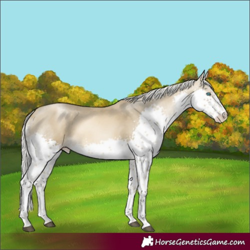 Horse Color:Silver Black Snowdrop Pearl Splash Tobiano