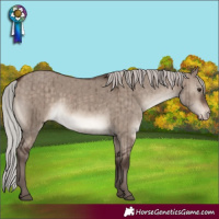 Horse Color:Silver Brown Dun Mushroom Varnish Rabicano Brindle 
