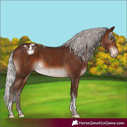 Horse Color:Silver Brown Mushroom Tobiano Varnish