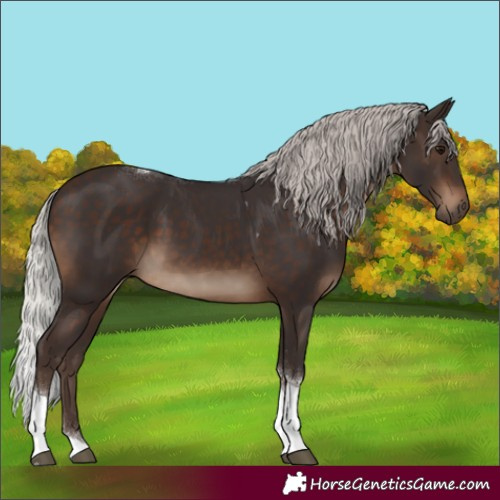 Horse Color:Silver Brown Tobiano Rabicano