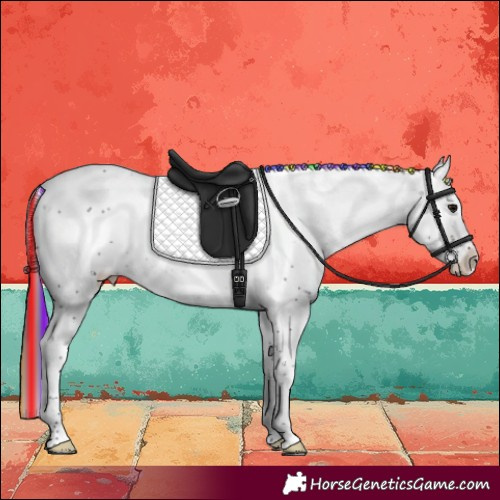 Horse Color:Painted Brown Sabino 