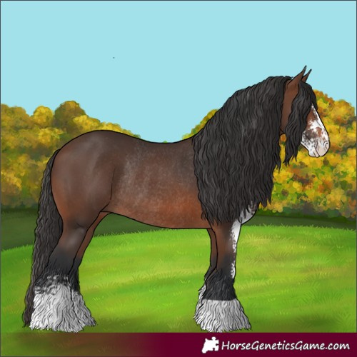 Horse Color:Brown Sabino Rabicano 