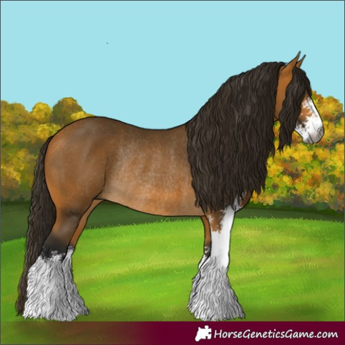 Horse Color:Gray Buckskin Sabino Rabicano 