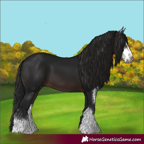 Horse Color:Gray Brown Sabino 