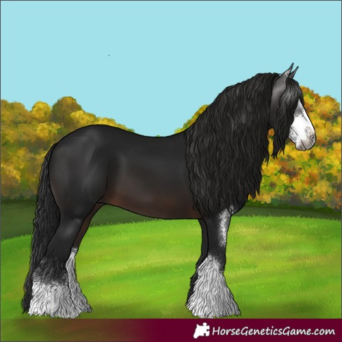 Horse Color:Gray Brown Sabino