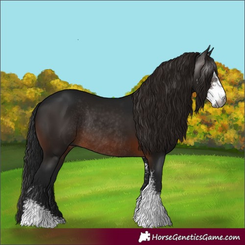 Horse Color:Gray Brown Sabino Rabicano