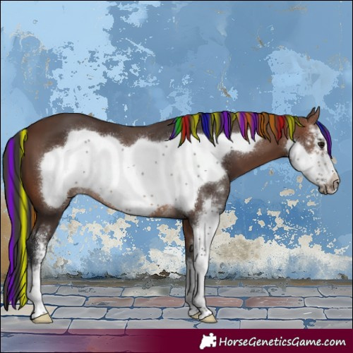 Horse Color:Painted Brown Sabino Frame 