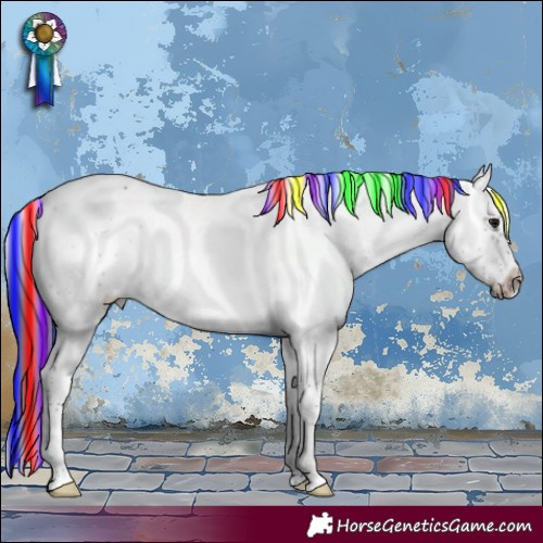 Horse Color:Painted Brown Sabino Frame 