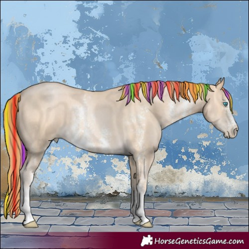 Horse Color:Painted Buckskin Pearl Sabino 