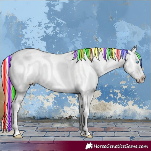 Horse Color:Painted Buckskin Ice Pearl Sabino 