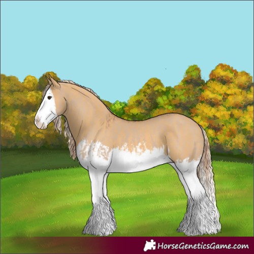 Horse Color:Red Dun Splash  and Palomino Dun Splash 